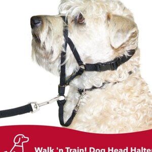 2/35$ NWT Walk 'n Train! Dog Head Halter small 13 to 17' inches